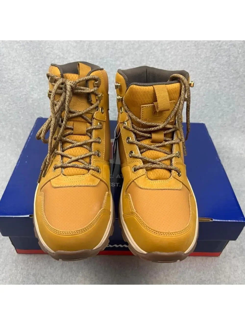 Champion expo rogue